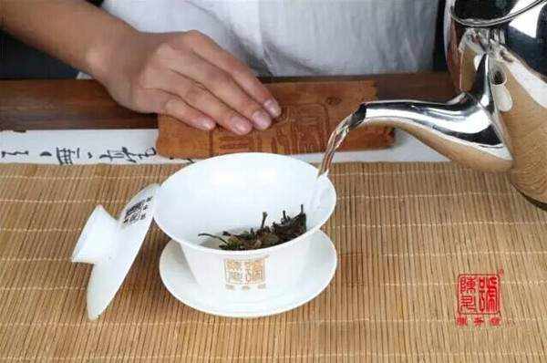 大益普洱茶冲泡技巧详解