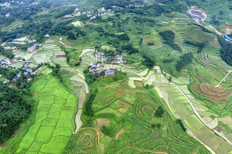 耒阳最新征地动态概览